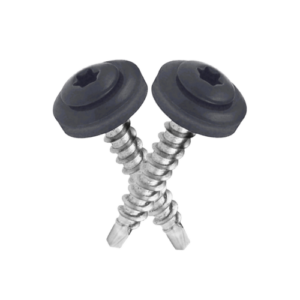 Vis autoforeuse TORX - Gris ardoise - RAL 7024