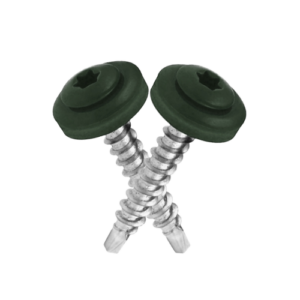 Vis autoforeuse TORX - Vert - RAL 6020